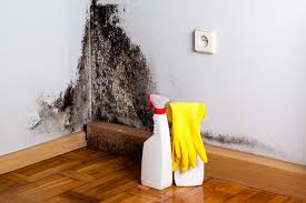 Mold Removal for HVAC Installations in Siloam Springs, AR